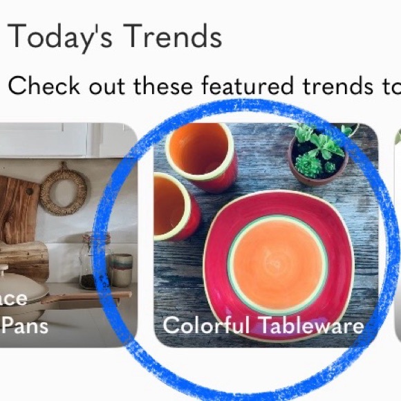 🦚 THOMAS PAUL Aviary Melamine Dinner Plates, set of 4 — VGUC - Picture 9 of 9